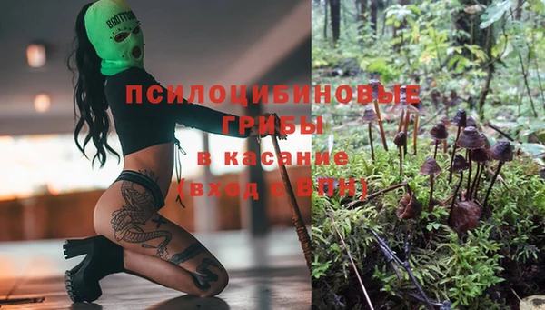 кокс Киреевск